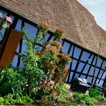 Le Clos Bleu - Gite Rural Schillersdorf Exterior photo