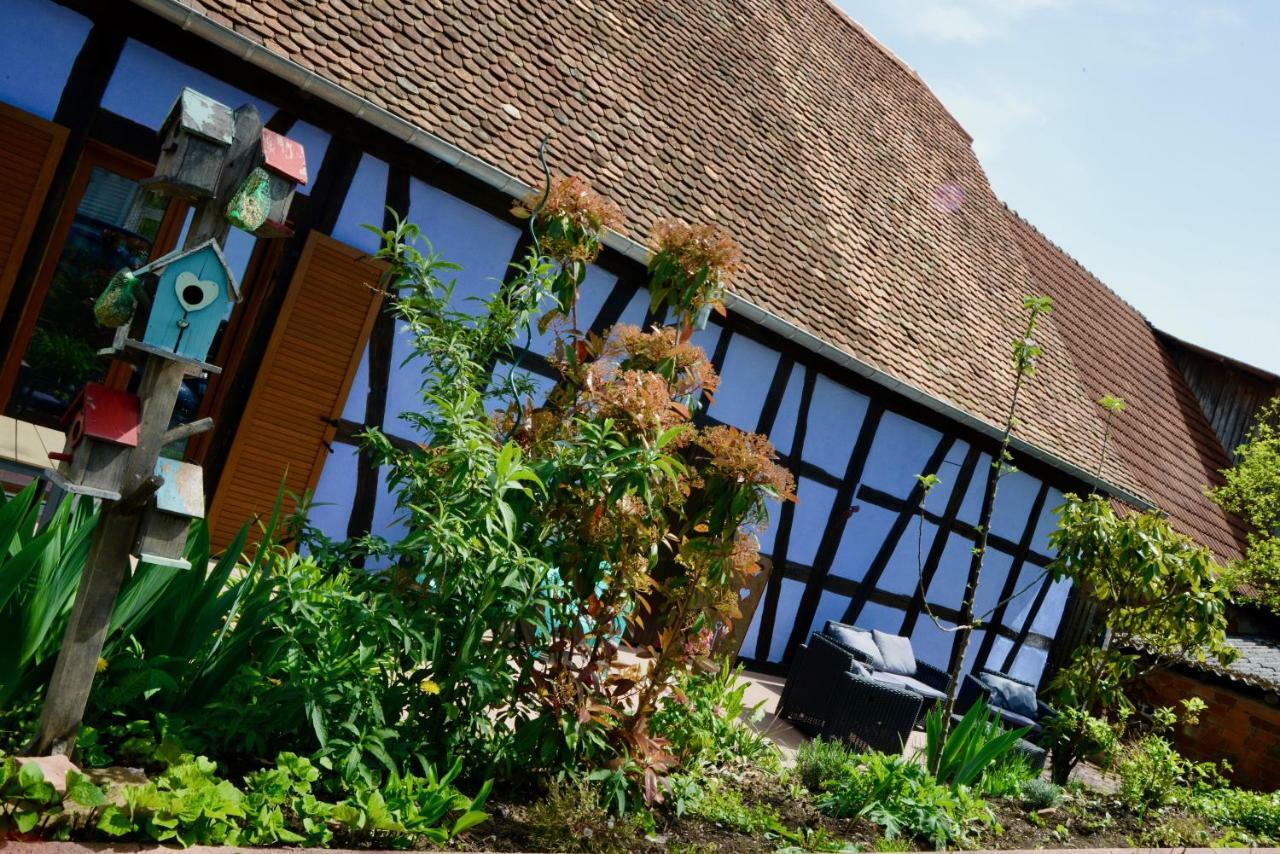 Le Clos Bleu - Rural * Schillersdorf